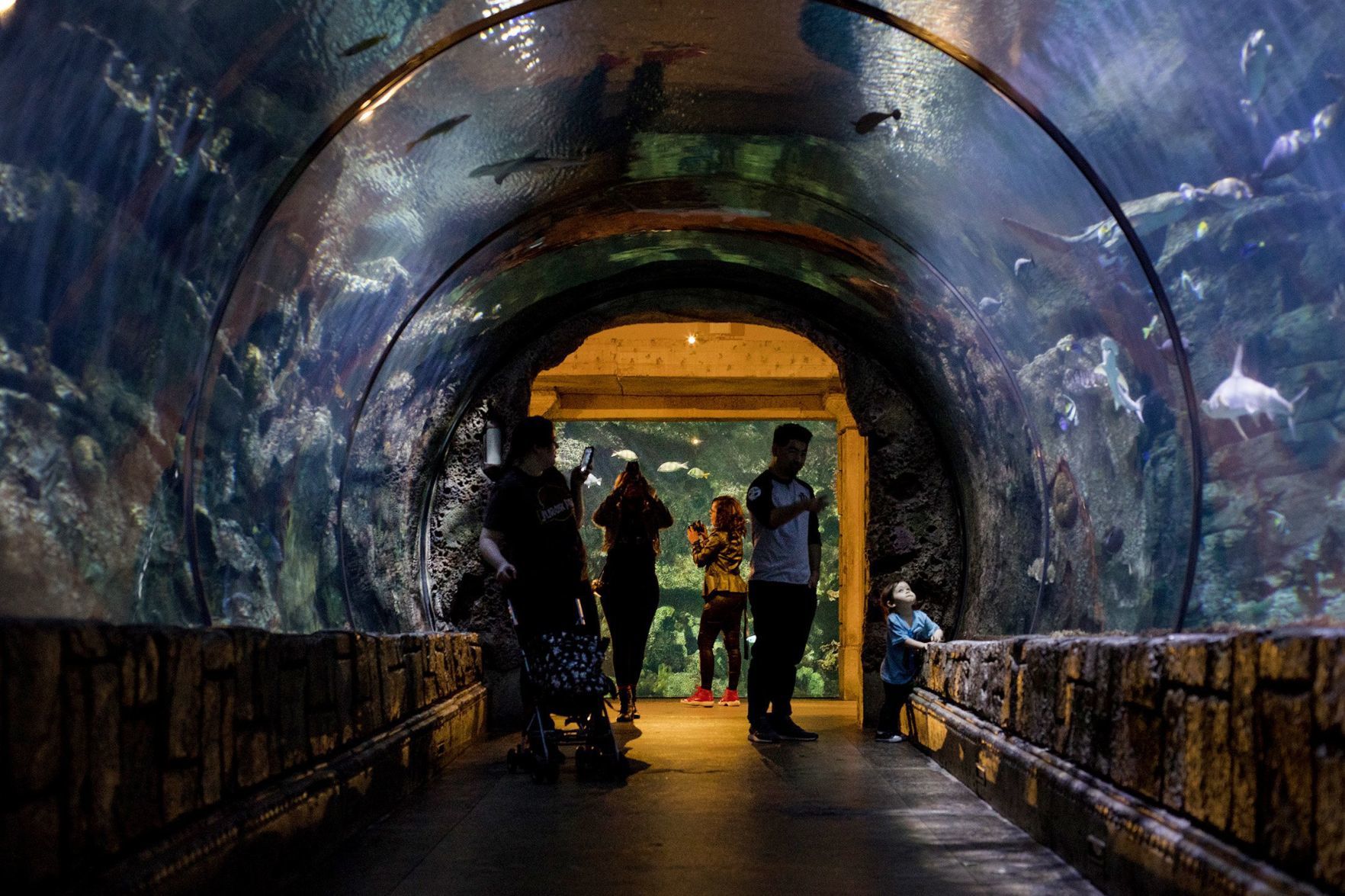Kid-friendly Las Vegas